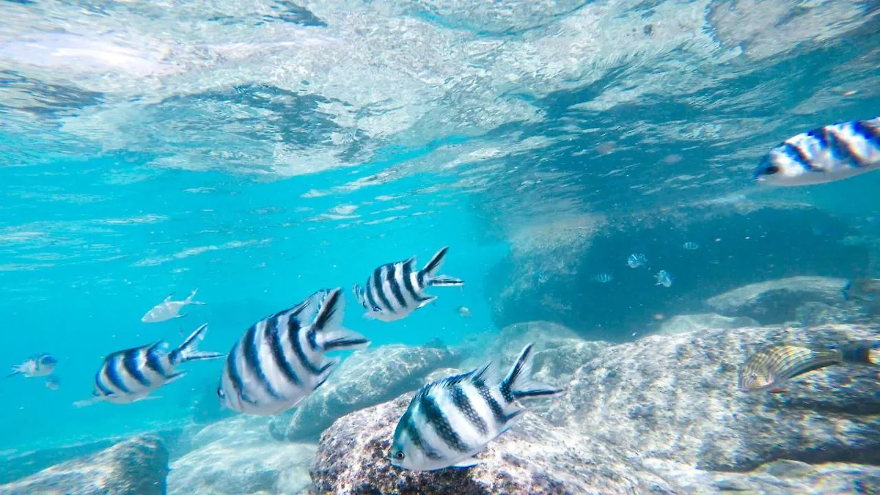 Cerf Island Resort Round Island Seychelles